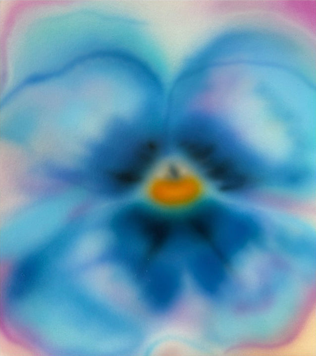 print BLUE BOY - MF BAE