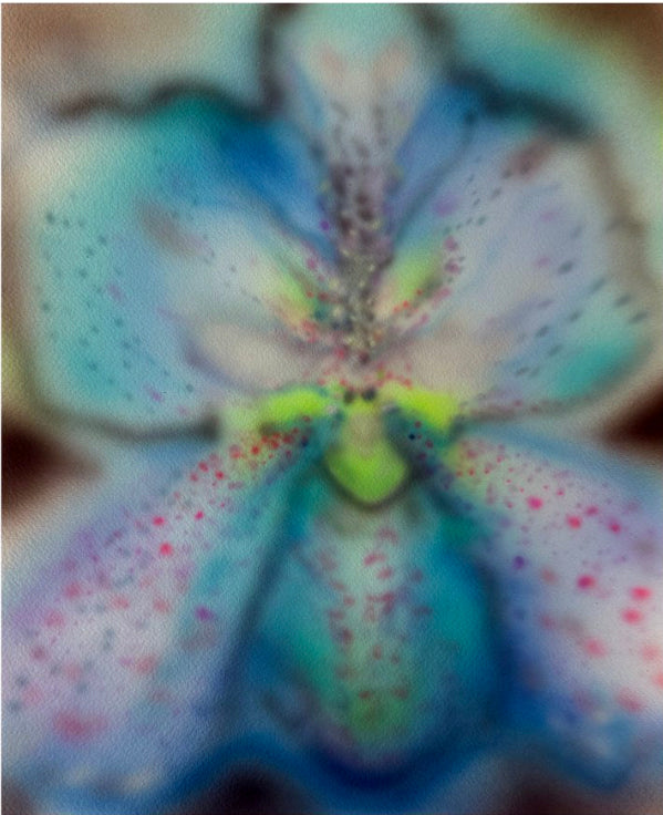 print ORCHID HUNT - MF BAE