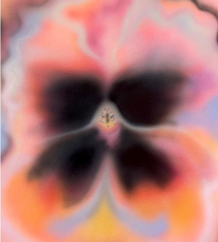 print VIOLA - MF BAE