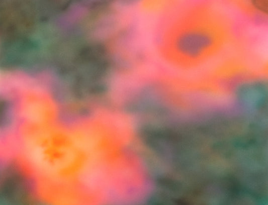 Print PETAL SOUP - MF BAE
