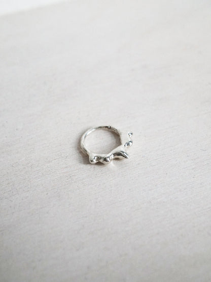 SOLIS, ORBIT AND DRIP SEPTUM RINGS